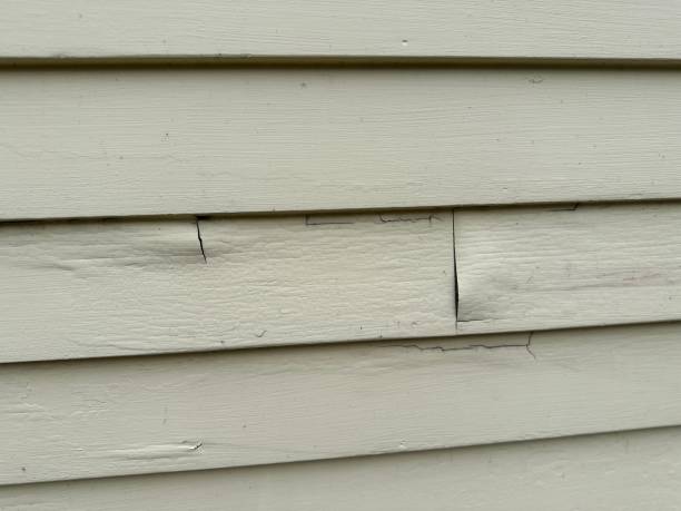 Best Siding Replacement  in Parsons, WV